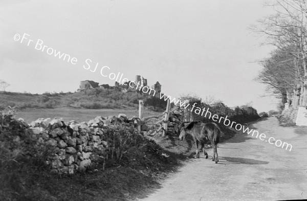 CARRICKOFUNNELL CASTLE